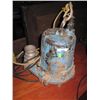 Image 1 : INDUSTRIAL WATER PUMP