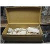 Image 1 : BOX OF SHELLS ETC BOX OF SHELLS ETC