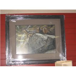 FRAMED L E PRINT " ON THE BRINK - OTTER " ROBERT B ROBERT BATEMAN