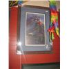 Image 1 : FRAMED L E PRINT "THUNDER BIRD" - RON STACY RON STACY