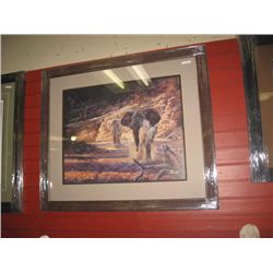 FRAMED L E PRINT "SHADES OF SAMBURU" - ANDREW KISS ANDREW KISS