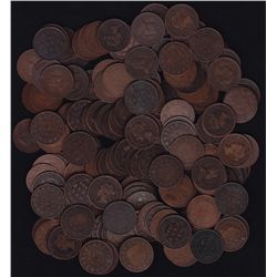 Lot of 170 Canadian Large Cents