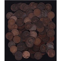 Lot of 170 Canadian Large Cents