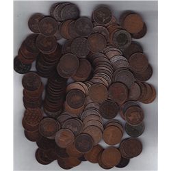 Lot of 170 Canadian Large Cents