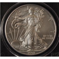 2009 USA Silver Eagle