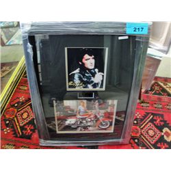 Framed Print by C Consani