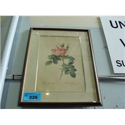 Framed rose print