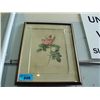 Image 1 : Framed rose print