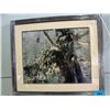Image 1 : Framed Print by Colin Bogle