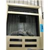 Image 1 : Electric fireplace insert