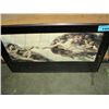 Image 1 : Michael angelo the creation of adam framed print