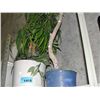 Image 1 : 2 artificial trees