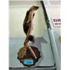 Image 1 : Professionally taxidermied mounted martin