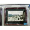Image 1 : Framed LEP by Frank Townsley
