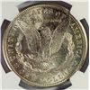 Image 3 : 1921S  Morgan $  NGC62    est $55-$60