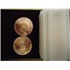 Image 1 : TUBE OF 20-1 OUNCE ADVP COPPER ROUNDS (EAGLE)