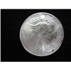 Image 1 : 1995 AMERICAN SILVER EAGLE