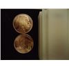 Image 1 : TUBE OF 20-1 OUNCE ADVP COPPER ROUNDS (BUFFALO)