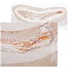 Image 1 : 100 Million Year Old Fish With Another Fish in Its Stomach