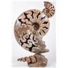 Image 1 : Ammonite Sculpture