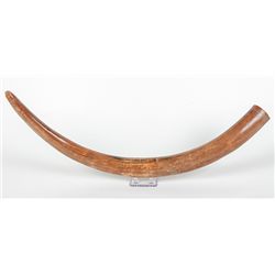 Complete Mammoth Tusk