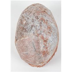 Dinosaur Egg Unkown Type of Dinosaur
