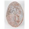 Image 1 : Dinosaur Egg Unkown Type of Dinosaur