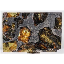 Esquel the Most Beautiful Pallasite