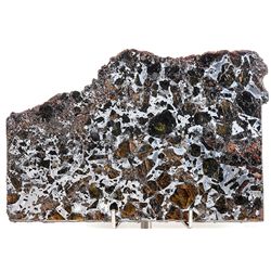 Meteorite Admire Pallasite