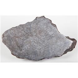 Meteorite Etched Gibeon End Cut