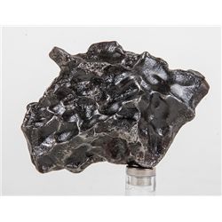 Two Sikhote-Alin Iron-Nickel Meteorites