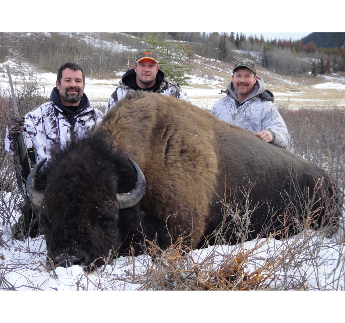 8Day British Columbia Plains Bison Hunt 2014