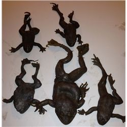 5 rubber Frogs from PT Anderson