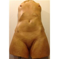 Female Torso with Mounts
