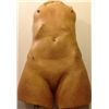 Image 1 : Female Torso with Mounts