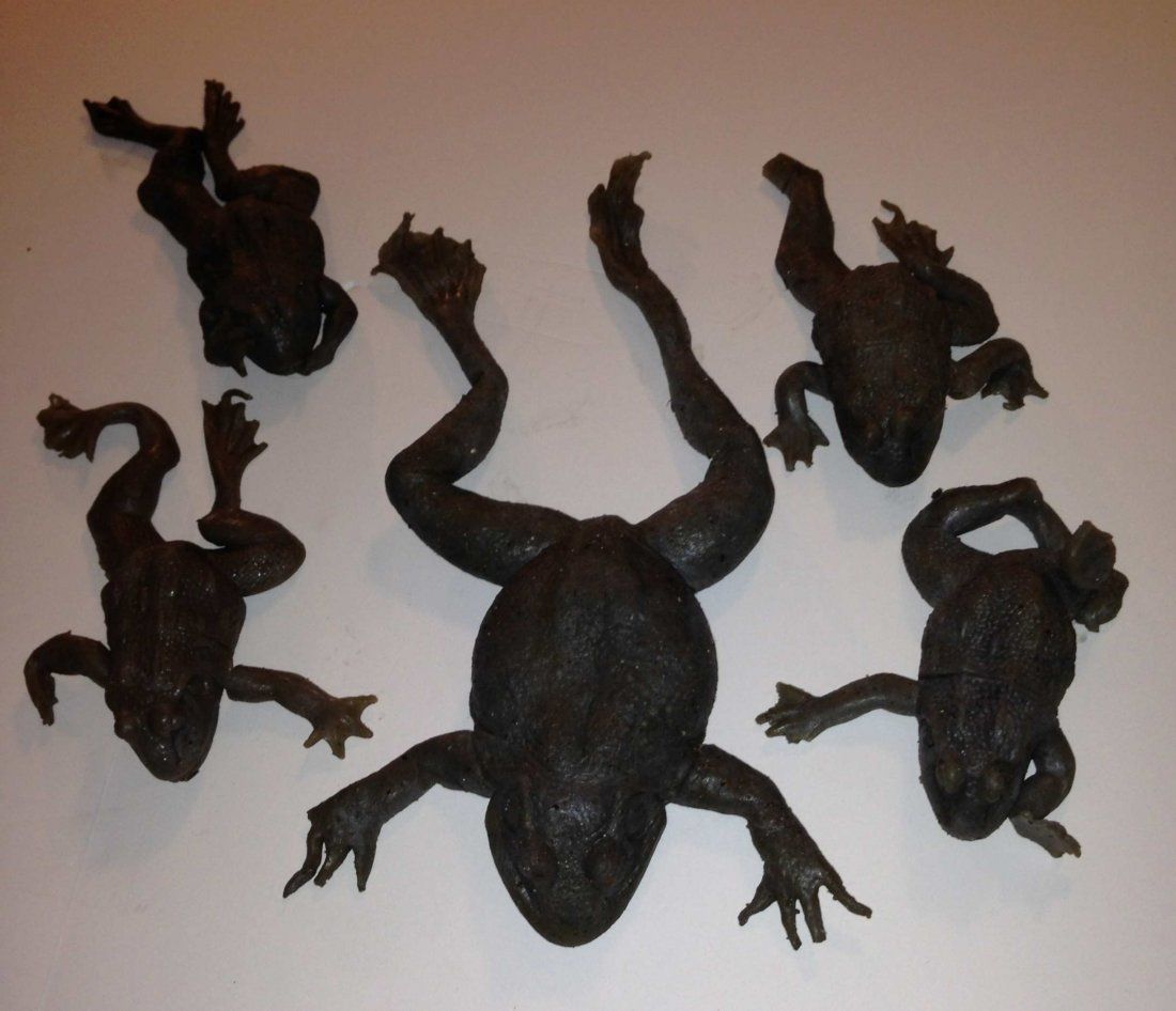 5 Screen used Stunt frogs from Magnolia