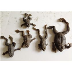 5 Rubber Frogs from the Hit Film Magnolia