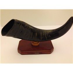 The Mexican Horn Desk ornament Screen used  Prop