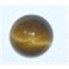 3.05 CARAT TIGER EYE *MINED IN SOUTH AFRICA* GEMSTONE CAME OUT OF SAFE!!