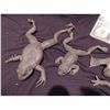 Image 2 : MAGNOLIA COMPLETE SET OF UNPAINTED STUNT TREE BULL FROG & BOTH TOADS SCREEN USED