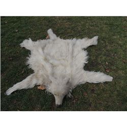 INDIAN WOLF SKIN CEREMONIAL HEADDRESS 1 JOHN BUECHLER F/X SHOP LIQUIDATION