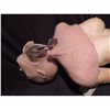 Image 3 : SEVERED HEAD AND TORSO BODY SILICONE ON URETHANE FOAM