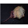 Image 2 : SEVERED BLOODY HEAD WITH HAND PUNCHED HAIRS & GORE AT STUMP CAST IN DURABLE URETHANE