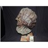 Image 2 : ALIEN CREATURE WEARABLE FULL HEAD MASK LATEX ON FOAM