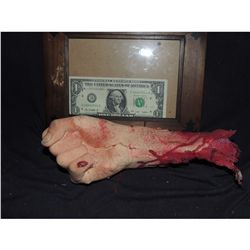SEVERED BLOODY ARM WITH HAND AND GORE AT STUMP 12 URETHANE LATEX OR POLY FOAM