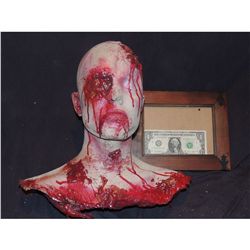 SEVERED COMPLETE HEAD WITH GORE 20 URETHANE LATEX OR POLY FOAM