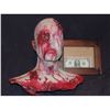 Image 1 : SEVERED COMPLETE HEAD WITH GORE 20 URETHANE LATEX OR POLY FOAM