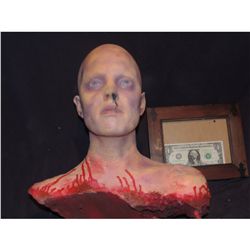 SEVERED COMPLETE HEAD WITH GORE 19 URETHANE LATEX OR POLY FOAM