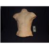 Image 1 : URETHANE COMPLETE MALE TORSO FOR HAUNT OR INDY FILM USE