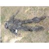 Image 1 : INBRED WEREWOLF CREATURE COMPLETE WEARABLE FULL BODY SUIT HEAD HANDS & FEET